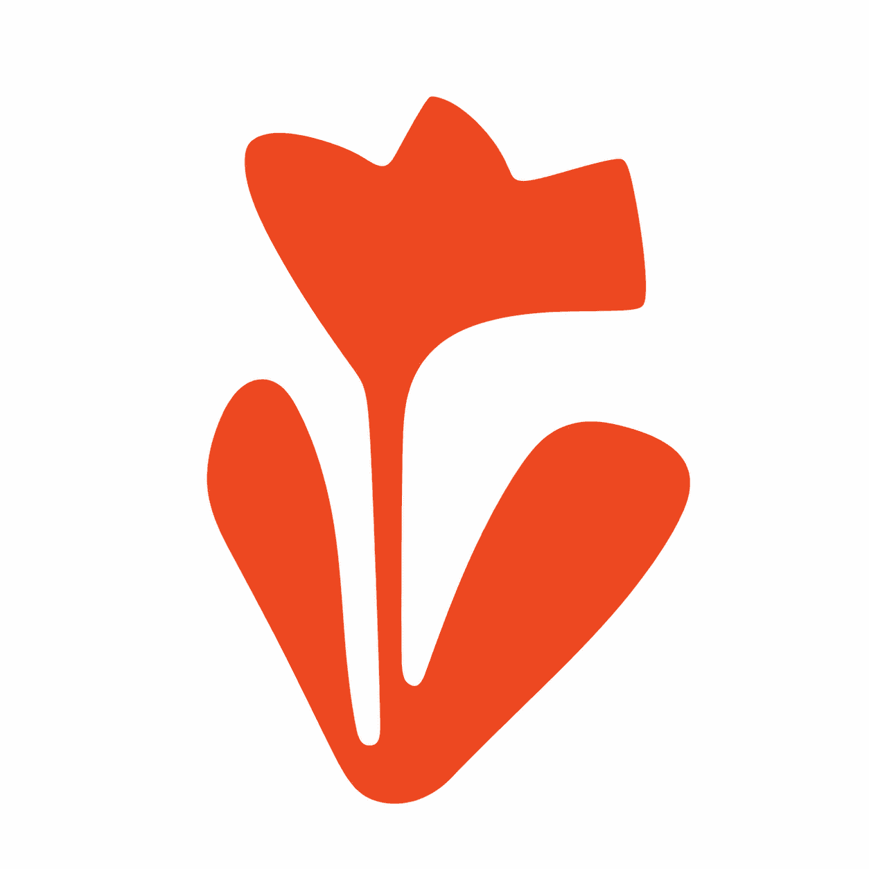 Orange botanical natural wellness illustration